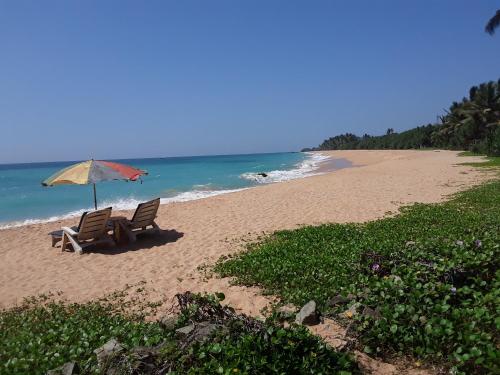 Gold sand Resort in Bentota