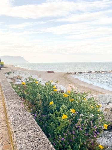  La perla del Porto in Porto Recanati