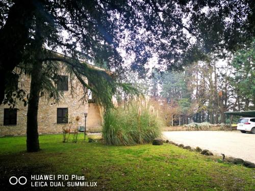 Villa con piscina Assisi