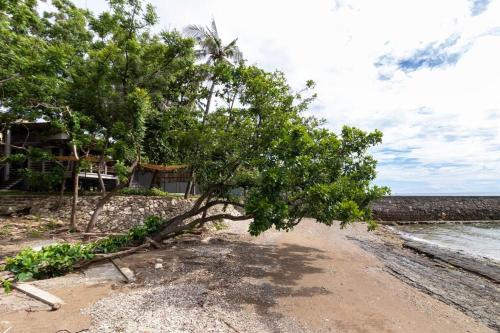 Exclusive Beachfront Villa w/ Outdoor Tub & Kayaks