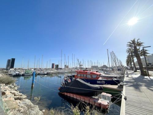 Joli appartement face au port, accès direct plage 4RP17 - Location saisonnière - Le Barcarès