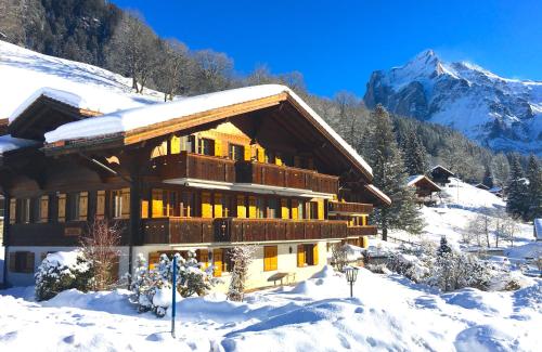  Chalet Gwächta am Sonnenhang von Grindelwald in Grindelwald