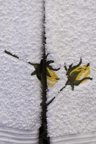 Monte dos Avós - image 12