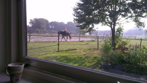 Vakantiehuis "Aan de Zandweg"