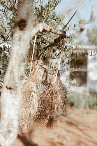 Sikalindi Apulian Farm&Living