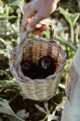 Sikalindi Apulian Farm&Living