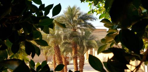 Apartment with Terrace room in HabuHeritageHomeStayInLuxor