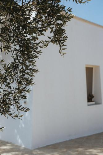 Sikalindi Apulian Farm&Living