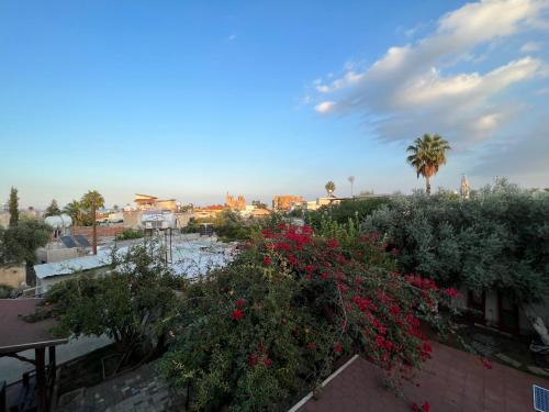 สวน, Betul Guest House in ฟามากุสต้า