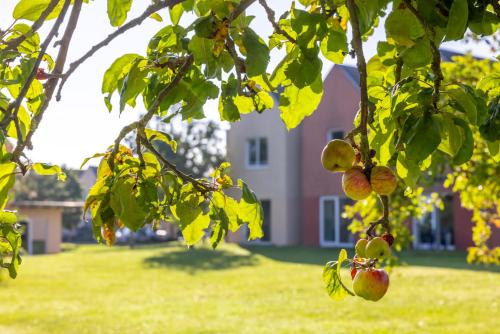 Eurostrand Resort Moseltal - Hotel - Leiwen