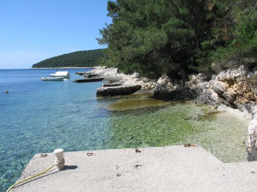  Apartments Dvi Obale in Vela Luka