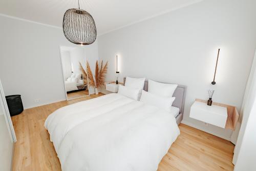 Moderne ruhige 2-Zimmer Wohnung in Coswig in Coswig