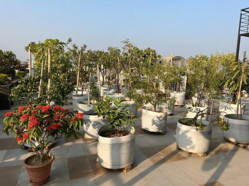 Vườn, BRAND NEW PENTHOUSE WITH HUGE ROOFTOP GARDEN in Chittagong