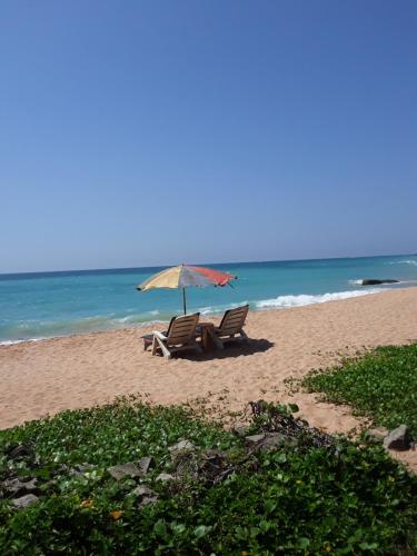 Gold sand Resort in Bentota