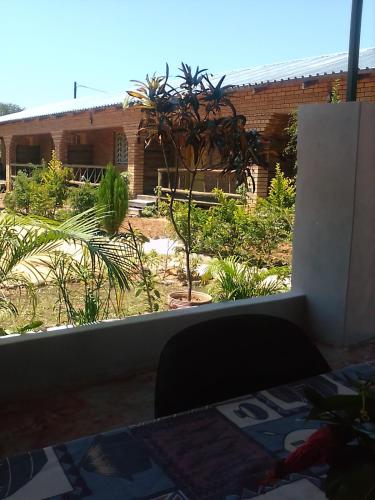 景色, Sunshinevibe guest house in カサネ