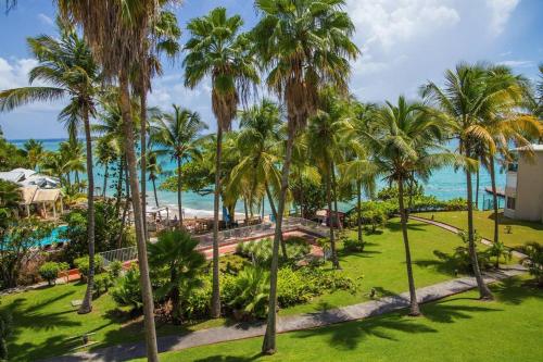ガーデン, F1 vue mer, accès plage, en centre-ville (F1 vue mer, acces plage, en centre-ville) in ゴシエール