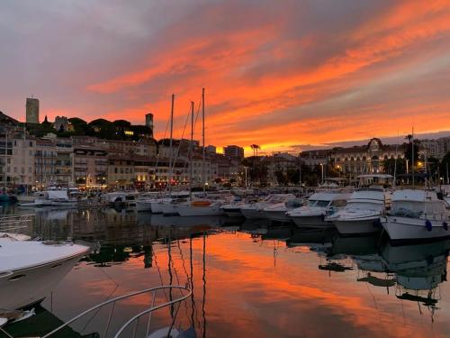 Séjour sur un Yacht de 15 m - Plein centre Cannes - Hôtel - Cannes