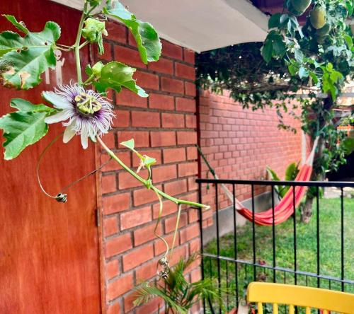 Lindo dpto con vista al jardin, internet y cable