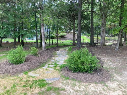 Beautiful Parkside Suite Beautiful Parkside Suite