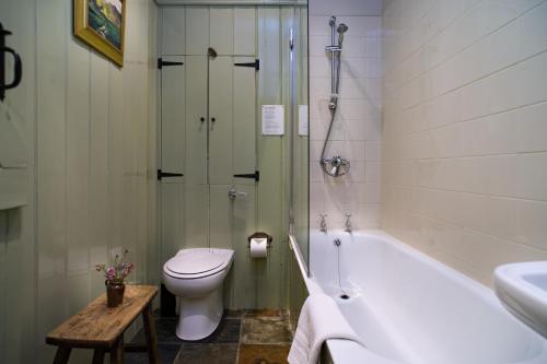 Nantgwynfaen Organic Farm Wales - image 14