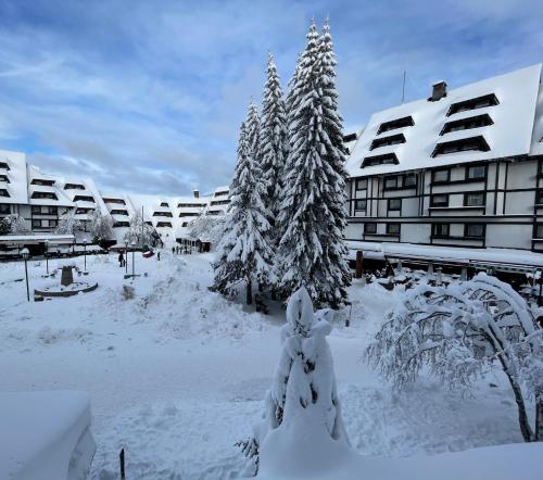 Apartments Konaci Kopaonik - main image