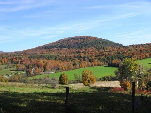 Inn at Buck Hollow Farm - image 8