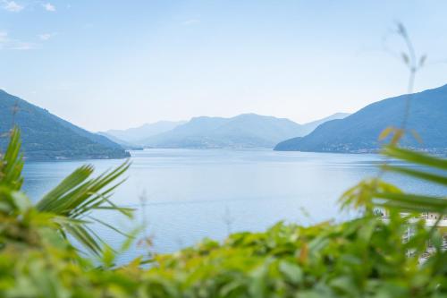  Swiss Blue Residence. Apartment Lake Paradise in Brissago