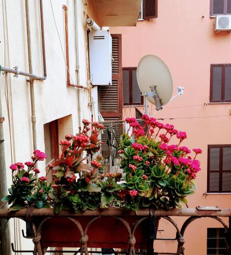 Napoleone Luxury Home roma 4