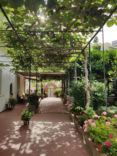  Villa dei fiori B&B in Capri