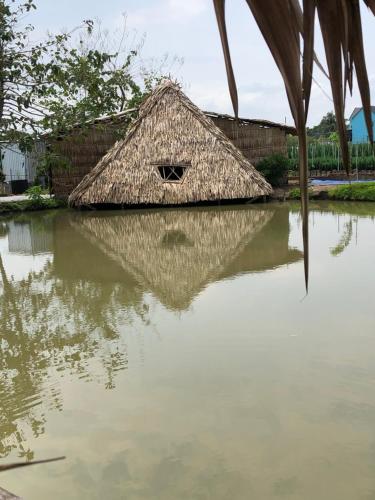 Maison en Bambou Phong-Le Vent in Sa Dec