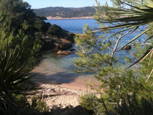 RC d'un Cabanon ecologique ile du levant Naturiste reservable du samedi au samedi in Port-Cros