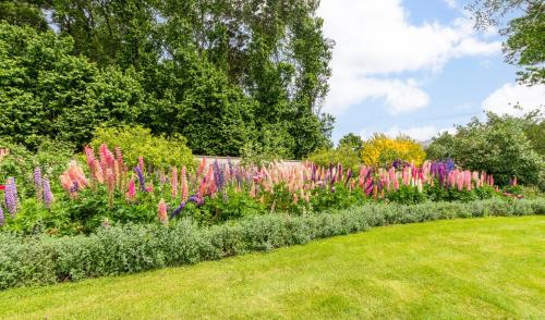 The Farm Bed & Breakfast in Pukerangi
