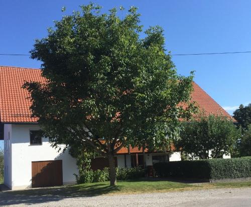 Hochwertig renovierte Ferienwohnung mit Garten im schonen Tannheim in Buxheim (Bavaria)