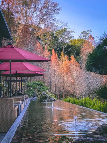 The Pines in Taichung