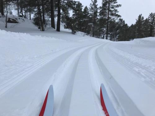 Ski Lodge Gautefall Norway