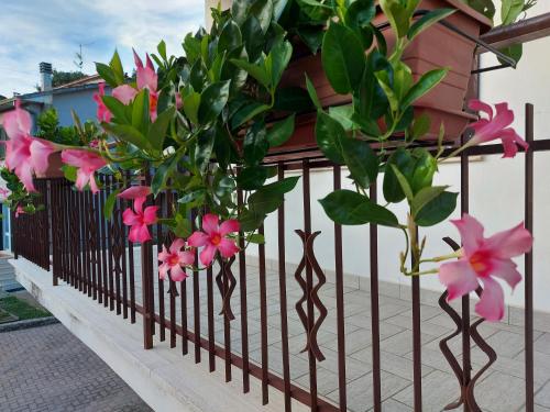 dimorafelice.sarteano