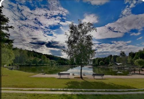 Beautiful Apartment with a huge private terrace in Speinshart