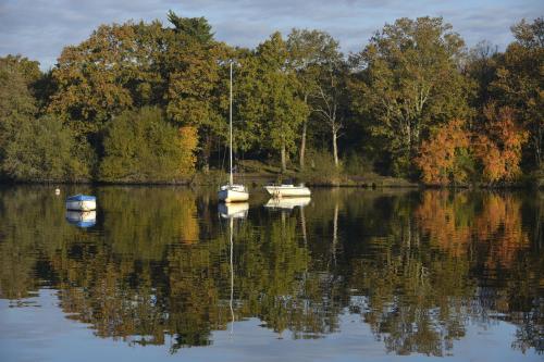Best Western Plus Hotel De La Regate-Erdre - image 5