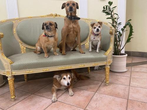 Sourire Hotel - main image