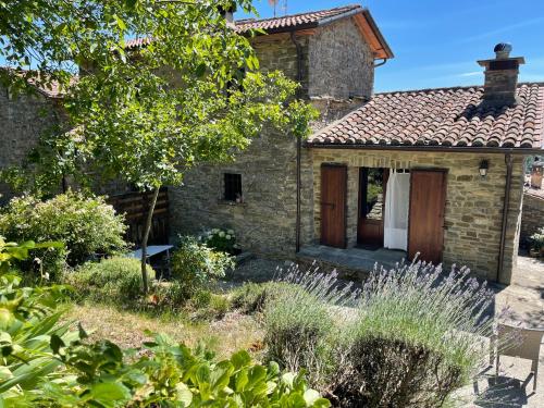 Il Cantuccio - Borgo con piscina privata in Сан-Джустіно