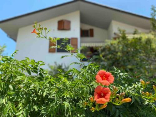 Accommodation in Mondolfo