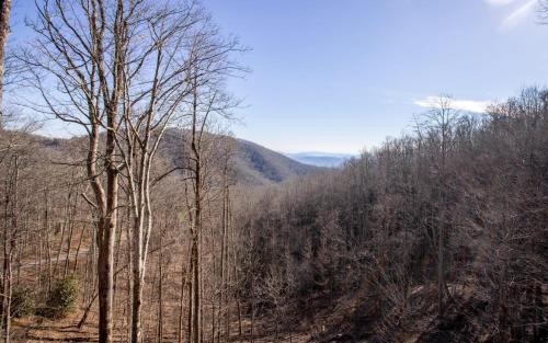 Alpine Gorge View Alpine Gorge View