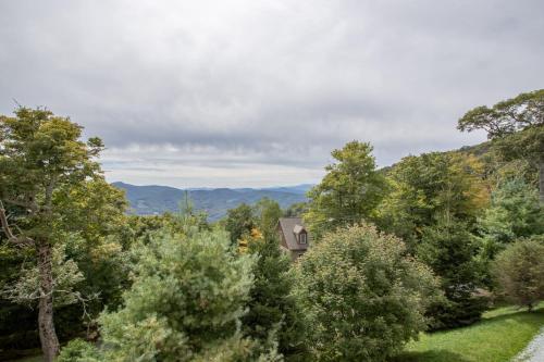 Bear Necessities in Beech Mountain, USA