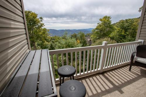 Bear Necessities, Beech Mountain (photo 9)