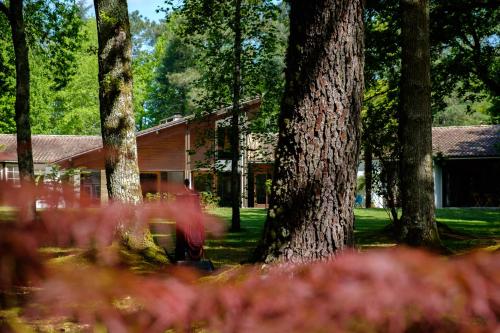 Parc de L'Aiguade