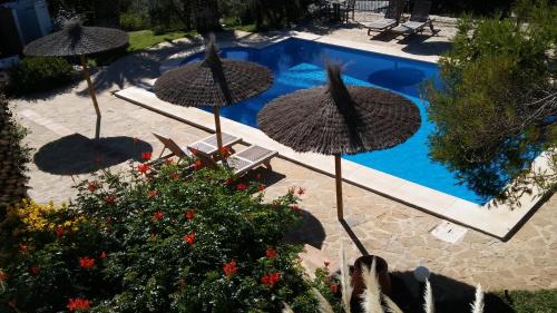 B&B Casa Domingo - 수영장