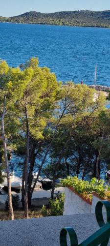  Apartman "Cvita" in Drage