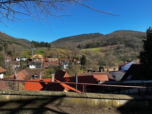 Max in Dernbach, Deutschland