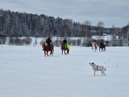 Jāšana, Huumoriharju in Toivomaki