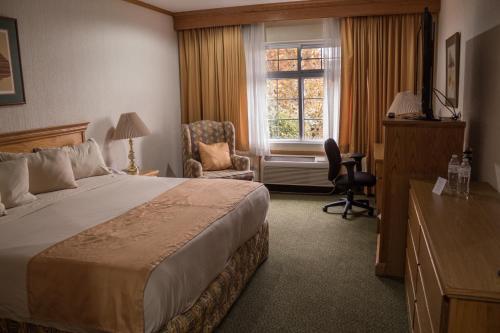 Hotel Sicomoro Room Type - Deluxe King Room